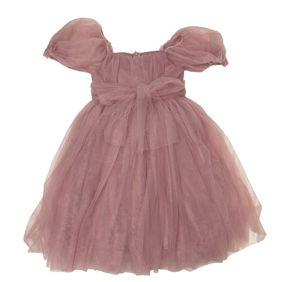 Arabella and rose flower girl Elegant Pink Tulle Dress size 10 - Picture 1 of 7